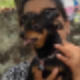 (Category: ) located in . Submitted by evelyn237 (Listing ID 1462636215, Image 1). Description: .