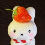(Category: ) located in . Submitted by jessdcluters (Listing ID 1462808657, Image 1). Description: .