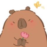 (分類:)位於 。 由 r_shop_14 提交(商品編號 1462845715,圖片 1)。簡介: 。