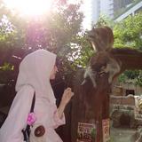 (Category: ) located in . Submitted by mywaaa_e (Listing ID 1463721325, Image 1). Description: .