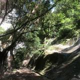 (分類:)位於 。 由 wongto833 提交(商品編號 1462739910,圖片 1)。簡介: 。