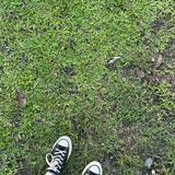 (Category: ) located in . Submitted by fatima125 (Listing ID 1462933190, Image 1). Description: .