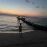 (Category: ) located in . Submitted by something.missing (Listing ID 1465381690, Image 1). Description: .