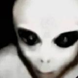(Category: ) located in . Submitted by alienworkshop_ (Listing ID 1462820960, Image 1). Description: .