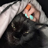 (Category: ) located in . Submitted by ccww15 (Listing ID 1463180046, Image 1). Description: .