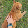 (Category: ) located in . Submitted by faten_rasid (Listing ID 1463175560, Image 1). Description: .