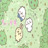 (分類:)位於 。 由 ccssjj246 提交(商品編號 1321689964,圖片 1)。簡介: 。