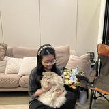 (Category: ) located in . Submitted by chloezijia (Listing ID 1463348022, Image 1). Description: .