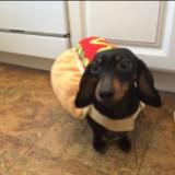 (Category: ) located in . Submitted by hotdog9639. (Listing ID 1463943348, Image 1). Description: .