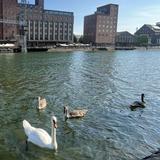 (Category: ) located in . Submitted by help_me_declutt553r.2 (Listing ID 1464111178, Image 1). Description: .