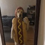(Category: ) located in . Submitted by kolkwtcg (Listing ID 1465029892, Image 1). Description: .