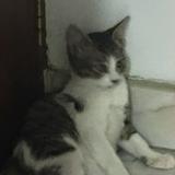(Category: ) located in . Submitted by silentbear_9bffa2 (Listing ID 1464569931, Image 1). Description: .