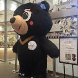 (Category: ) located in . Submitted by angela_goh.666 (Listing ID 1464520436, Image 1). Description: .
