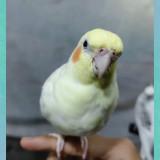 (Category: ) located in . Submitted by emmy00 (Listing ID 1464473326, Image 1). Description: .