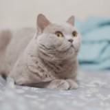 (分類:)位於 。 由 circlelalala 提交(商品編號 1448039861,圖片 1)。簡介: 。