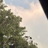 (Category: ) located in . Submitted by jpula (Listing ID 1468826308, Image 1). Description: .