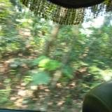 (Category: ) located in . Submitted by swifttree.1d5a9c (Listing ID 1464808214, Image 1). Description: .