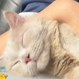 (Category: ) located in . Submitted by elise_18 (Listing ID 1462419511, Image 1). Description: .
