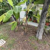 (Category: ) located in . Submitted by ml69690 (Listing ID 1457548369, Image 1). Description: .