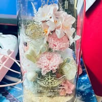 (分類:)位於 。 由 kannabot 提交(商品編號 1466036935,圖片 1)。簡介: 。