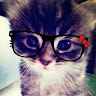 (Category: ) located in . Submitted by dinameow (Listing ID 1467193824, Image 1). Description: .