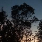 (Category: ) located in . Submitted by arif_127890 (Listing ID 1467894214, Image 1). Description: .