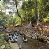 (Kategori: ) berada di . Dikirim oleh kirana_oddwhale2288 (ID iklan 1466570651, Gambar 1). Deskripsi: .