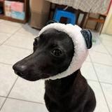 頭像