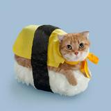 (Category: ) located in . Submitted by thd007 (Listing ID 1465087474, Image 1). Description: .