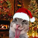 (Category: ) located in . Submitted by aeris._. (Listing ID 1465819799, Image 1). Description: .
