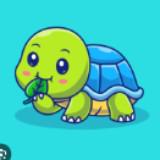 (Category: ) located in . Submitted by turtlelover88 (Listing ID 1465898185, Image 1). Description: .