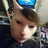(Category: ) located in . Submitted by frankie0921t (Listing ID 1465835298, Image 1). Description: .