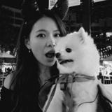 (分類:)位於 。 由 hungcai 提交(商品編號 1464598696,圖片 1)。簡介: 。