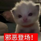 由 qwq._.7 (刊登 ID 1465818915,圖片 1) 提交,位於 的 (類別:),說明:。