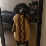 (Category: ) located in . Submitted by chengx404 (Listing ID 1463295341, Image 1). Description: .