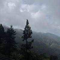 (Category: ) located in . Submitted by lyakml (Listing ID 1466820506, Image 1). Description: .