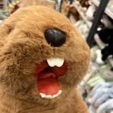 (Category: ) located in . Submitted by fierce_goaty (Listing ID 1470177431, Image 1). Description: .