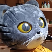 (Category: ) located in . Submitted by pearllaureano (Listing ID 1466176048, Image 1). Description: .