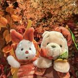 (分類:)位於 。 由 winniepoohlover 提交(商品編號 1466171424,圖片 1)。簡介: 。