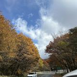 (Category: ) located in . Submitted by iliillil (Listing ID 1466207715, Image 1). Description: .