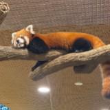 (Category: ) located in . Submitted by dadarkie (Listing ID 1288360513, Image 1). Description: .