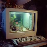 (Category: ) located in . Submitted by tyaz.my (Listing ID 1466420703, Image 1). Description: .