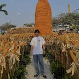 (Category: ) located in . Submitted by sxyuti (Listing ID 1466380776, Image 1). Description: .