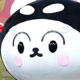(分類:)位於 。 由 c000086 提交(商品編號 1466899165,圖片 1)。簡介: 。