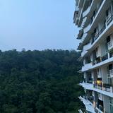 (Category: ) located in . Submitted by muhammadfarhan45645_242 (Listing ID 1466608201, Image 1). Description: .