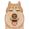 (Category: ) located in . Submitted by isabelcansino (Listing ID 1466680534, Image 1). Description: .