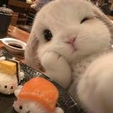 (Category: ) located in . Submitted by winniethepooh66 (Listing ID 1466653728, Image 1). Description: .