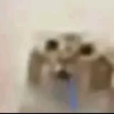 (Category: ) located in . Submitted by akmalarove (Listing ID 1466424779, Image 1). Description: .