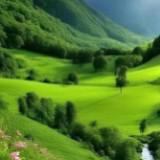 (Category: ) located in . Submitted by amirkhan327317965 (Listing ID 1467244686, Image 1). Description: .