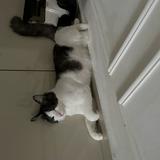 (Category: ) located in . Submitted by wanda.zahra (Listing ID 1467848976, Image 1). Description: .